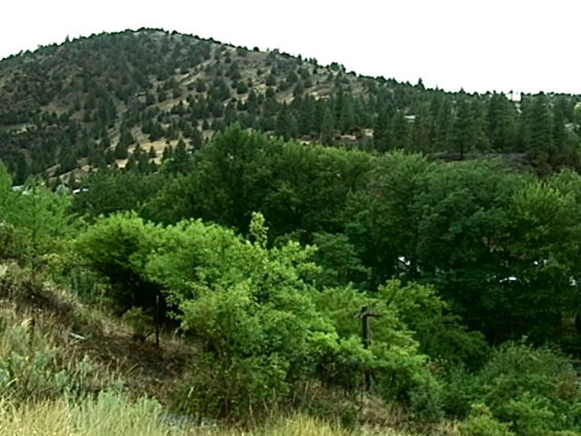 Joaquin Miller pics.224